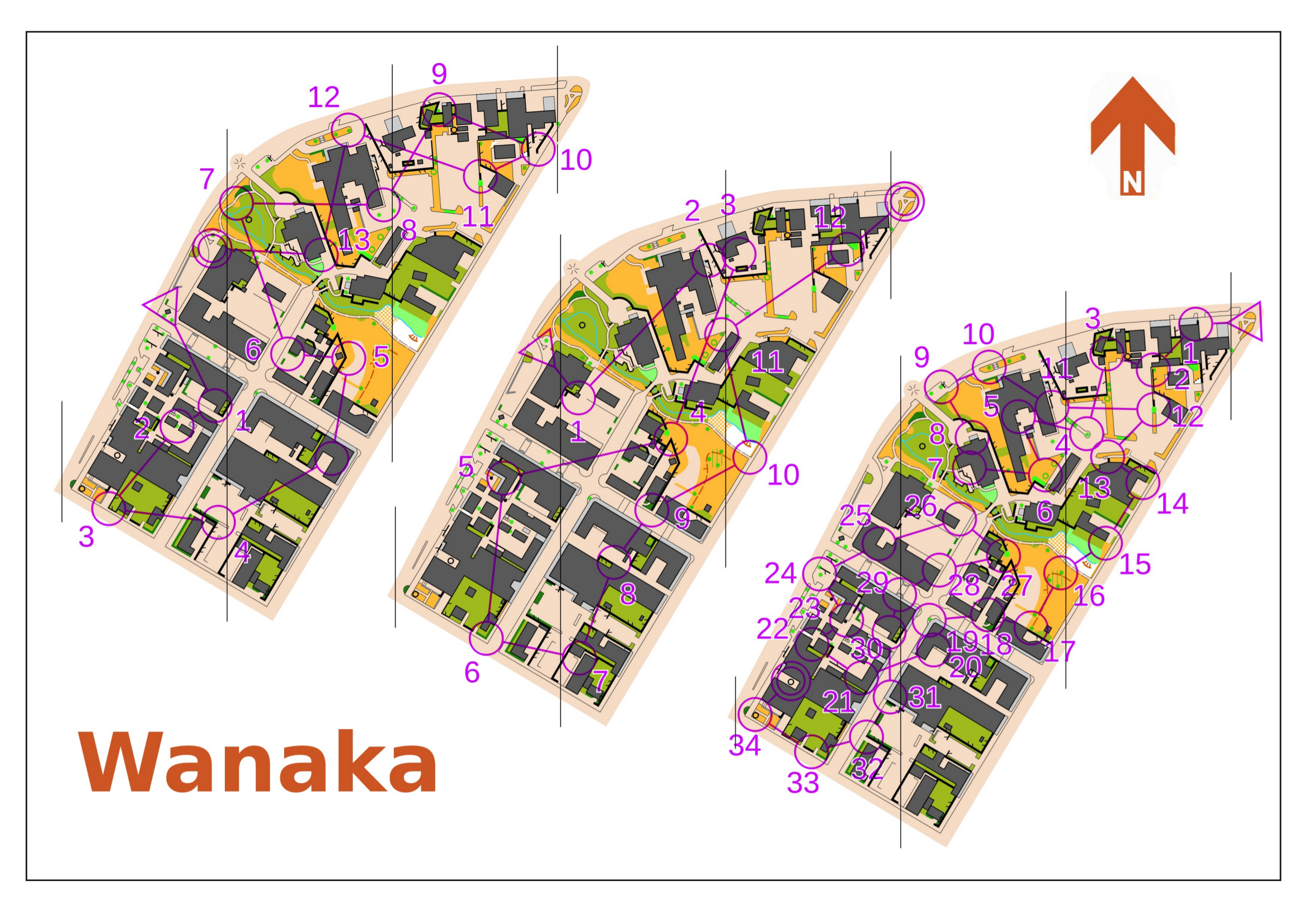 Wanaka (14/07/2014)